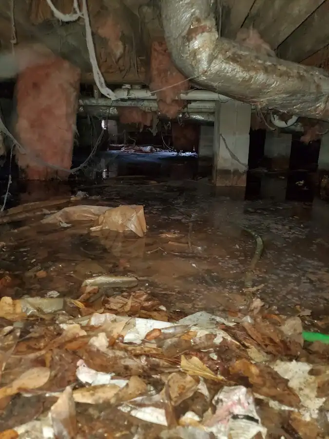 Crawl space flood assessment for Leak Detection & Repair in Birmingham