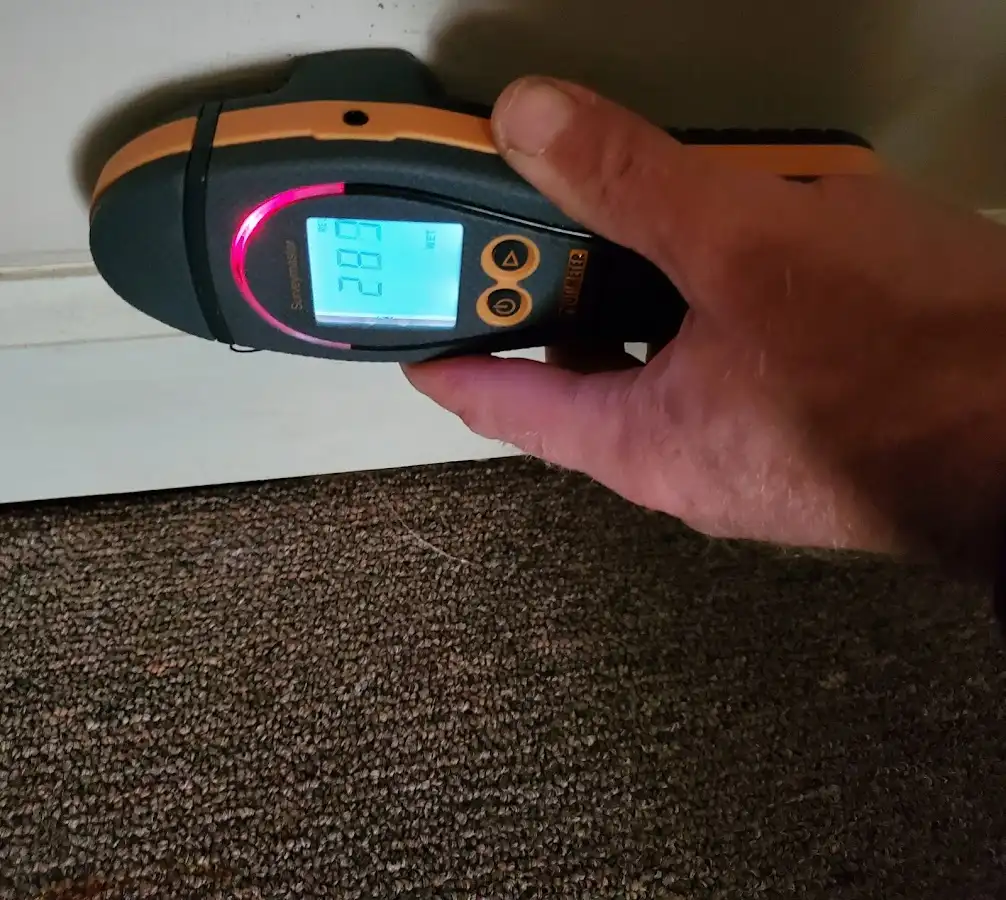 Moisture detection at baseboard during Sewage Cleanup & Sanitation in Birmingham